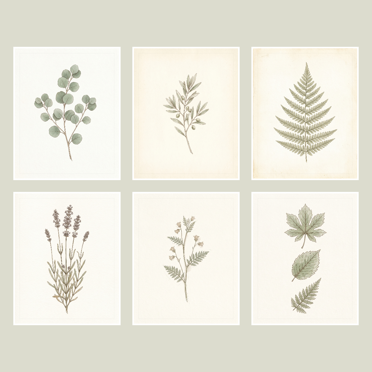 Botanical Herbarium Wall Art Set — 6 Printable Pressed Botanical Prints (8x10, 11x14, 16x20 · PDF + JPG + SVG) preview 2