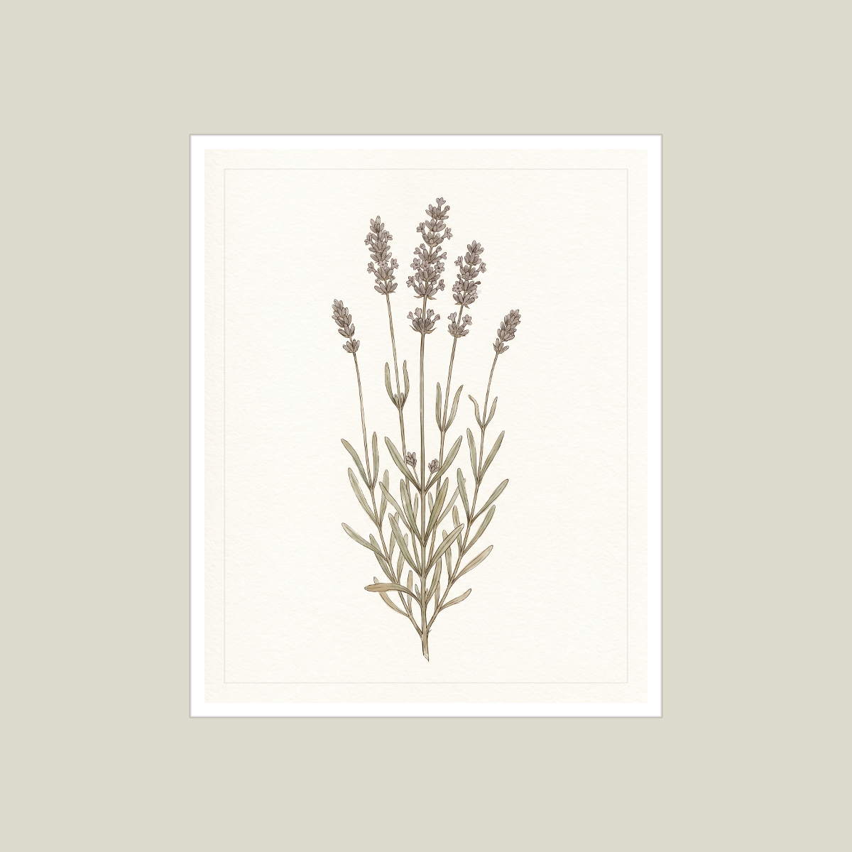 Botanical Herbarium Wall Art Set — 6 Printable Pressed Botanical Prints (8x10, 11x14, 16x20 · PDF + JPG + SVG) preview 3