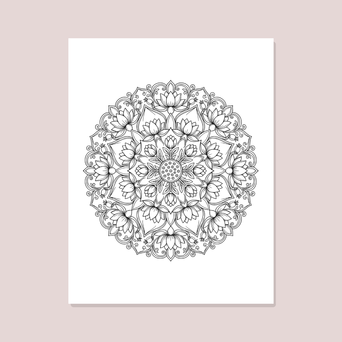 Floral Mandala Coloring Pages — 10 Printable Adult Coloring Sheets (Roses, Lotus, Peony & More) preview 2