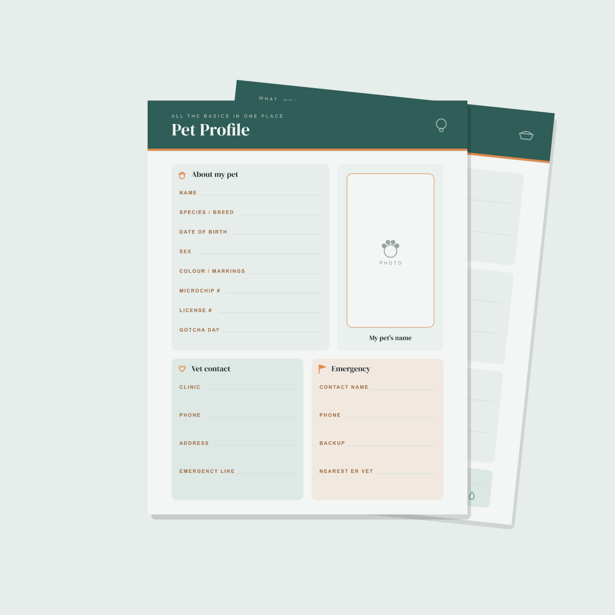 Pet Care & Health Planner — 13 Printable Pages (Pet Profile, Vet Log, Vaccination Record, Weight & Feeding Trackers, Grooming, Training & Pet Budget · A4 + US Letter PDF + SVG) preview 2